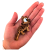 Projekt bez nazwy (5).png